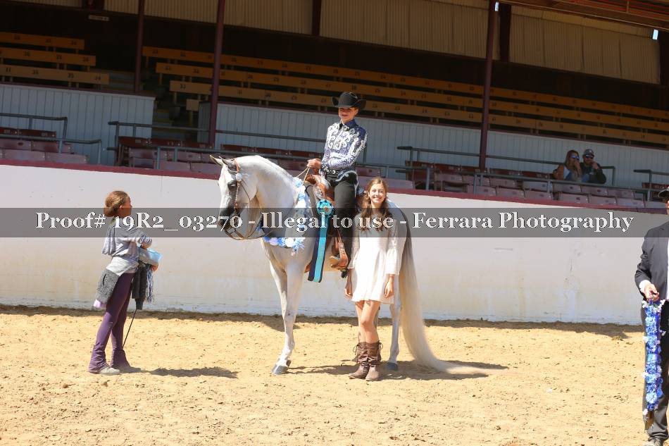 Proof 19R2_03270
