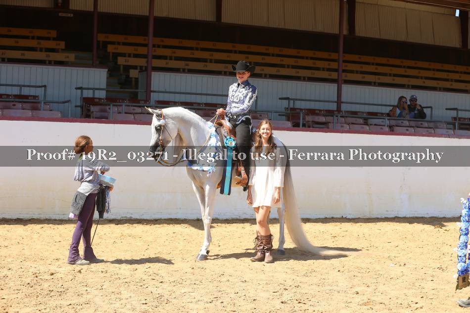 Proof 19R2_03271