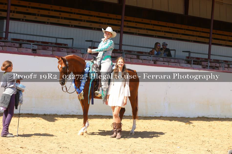 Proof 19R2_03272