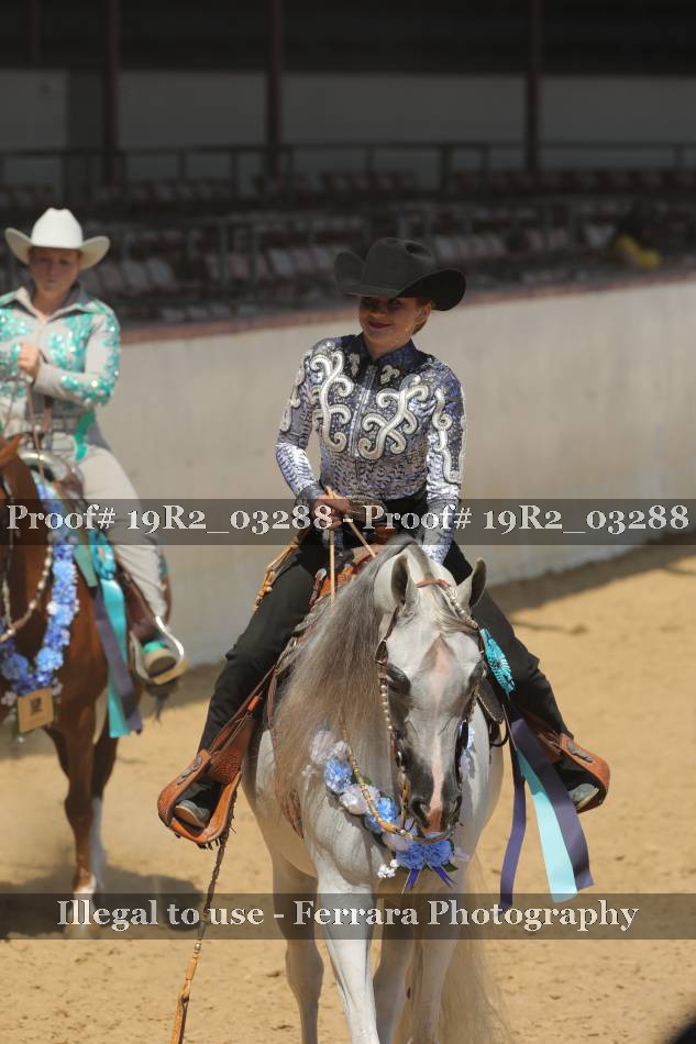 Proof 19R2_03288