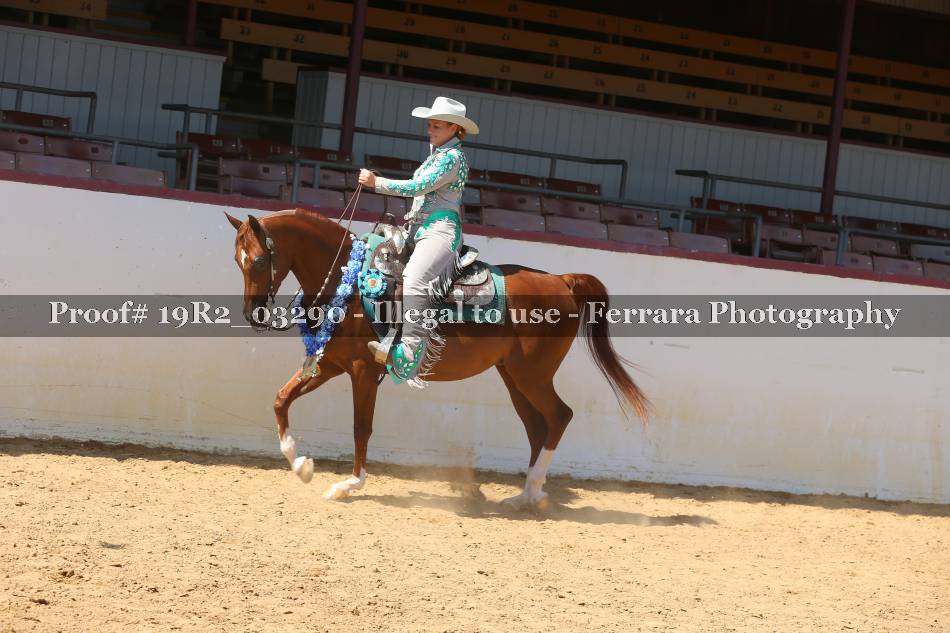 Proof 19R2_03290
