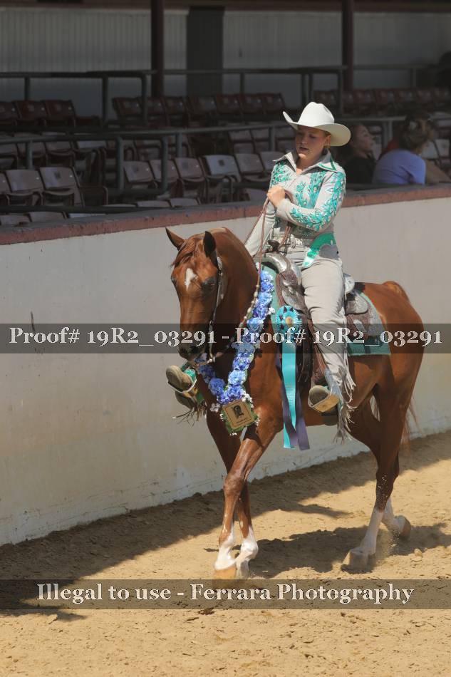 Proof 19R2_03291