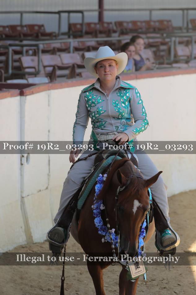 Proof 19R2_03293
