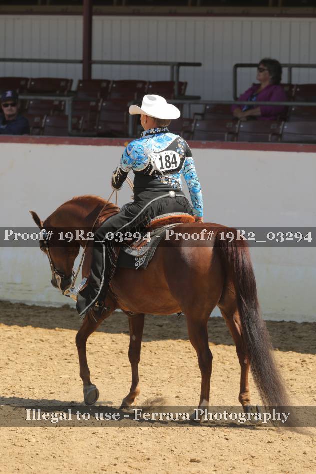 Proof 19R2_03294