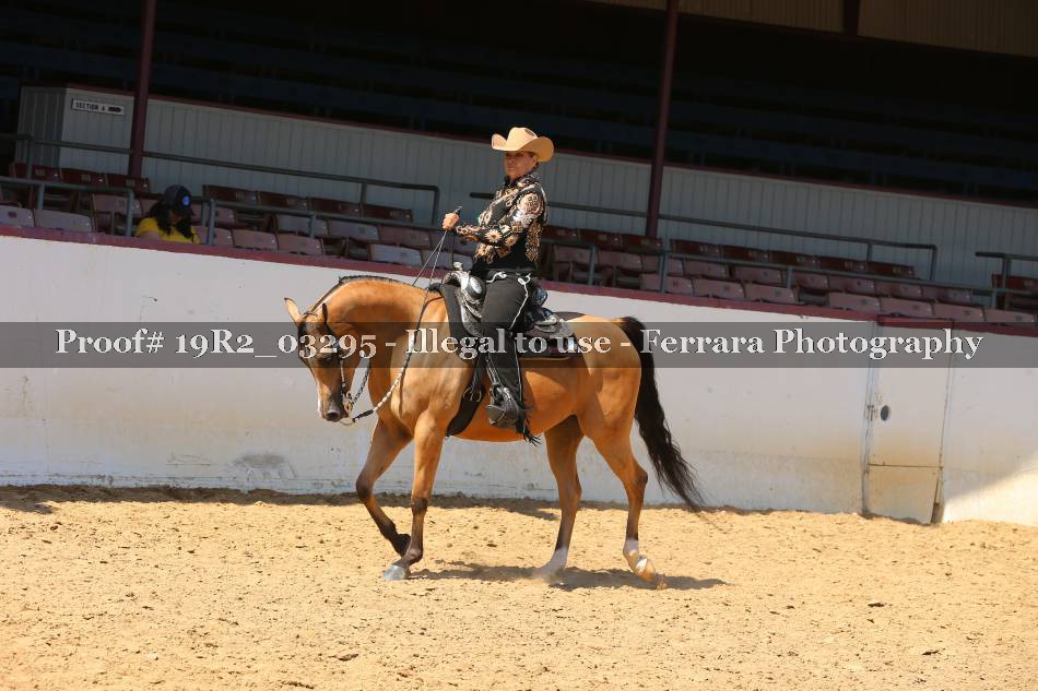 Proof 19R2_03295
