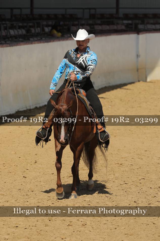 Proof 19R2_03299