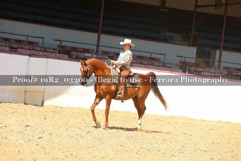 Proof 19R2_03300