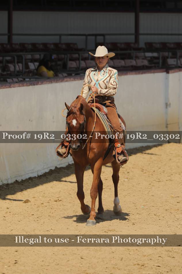 Proof 19R2_03302