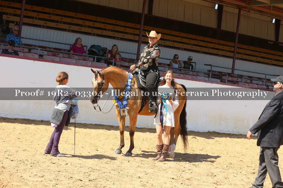 Proof 19R2_03304