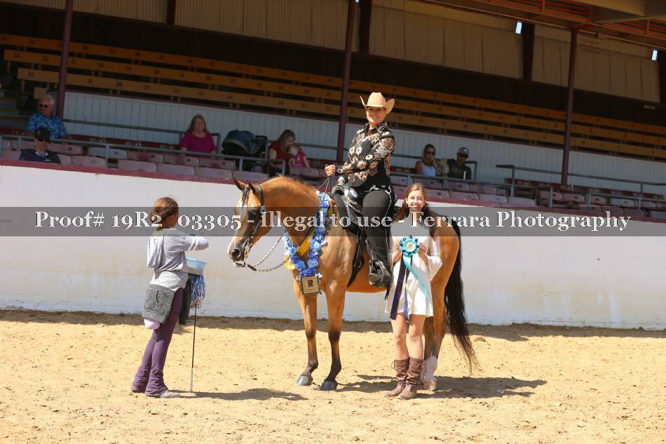 Proof 19R2_03305