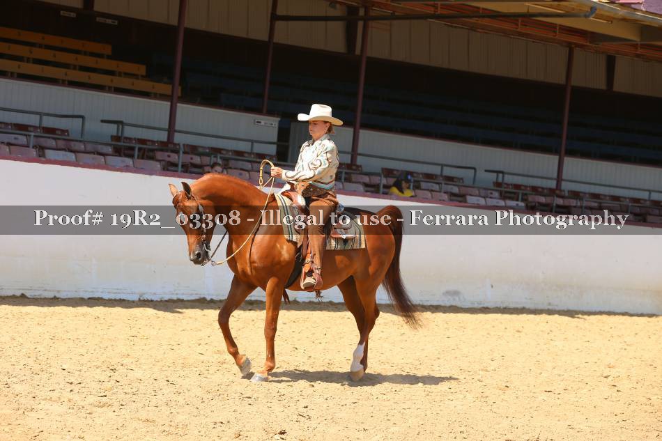 Proof 19R2_03308