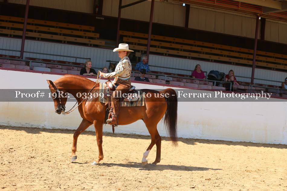 Proof 19R2_03309