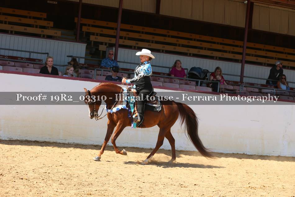 Proof 19R2_03310