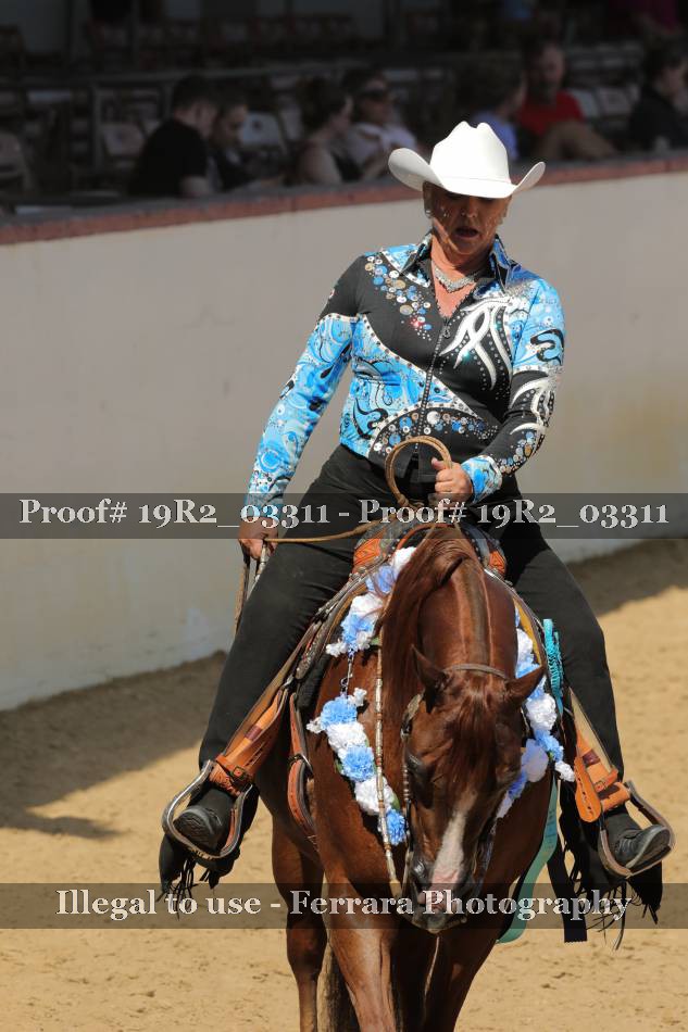Proof 19R2_03311
