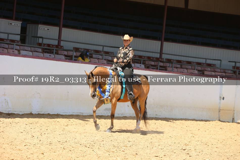 Proof 19R2_03313
