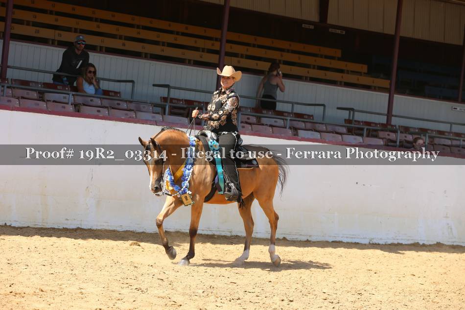 Proof 19R2_03314