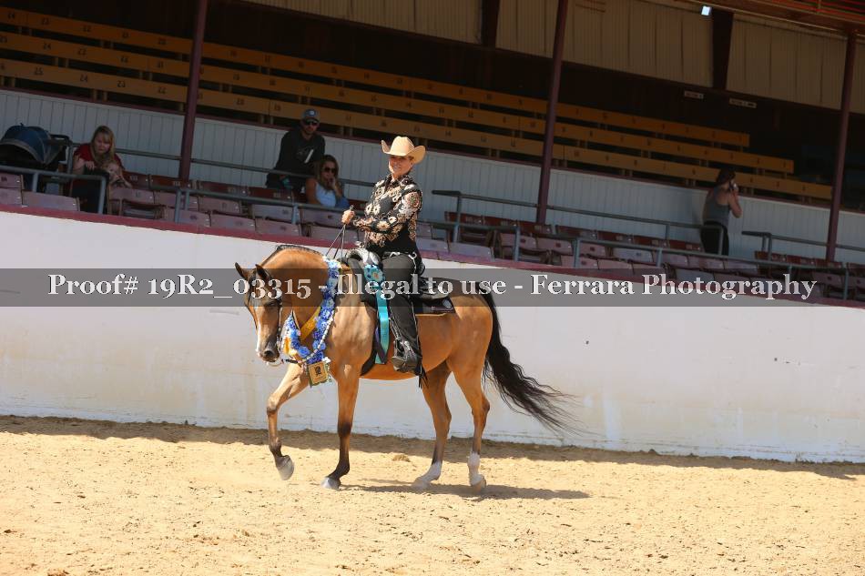 Proof 19R2_03315
