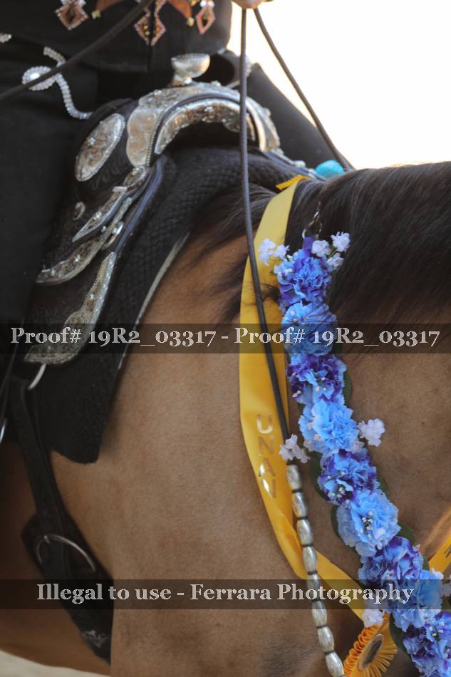 Proof 19R2_03317