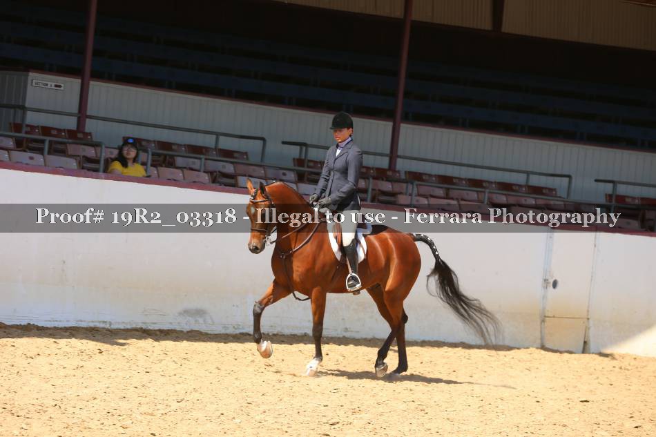 Proof 19R2_03318