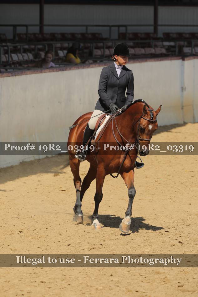 Proof 19R2_03319