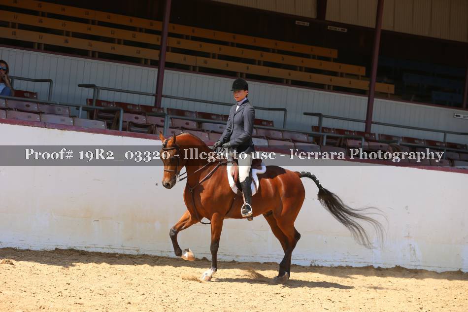 Proof 19R2_03320