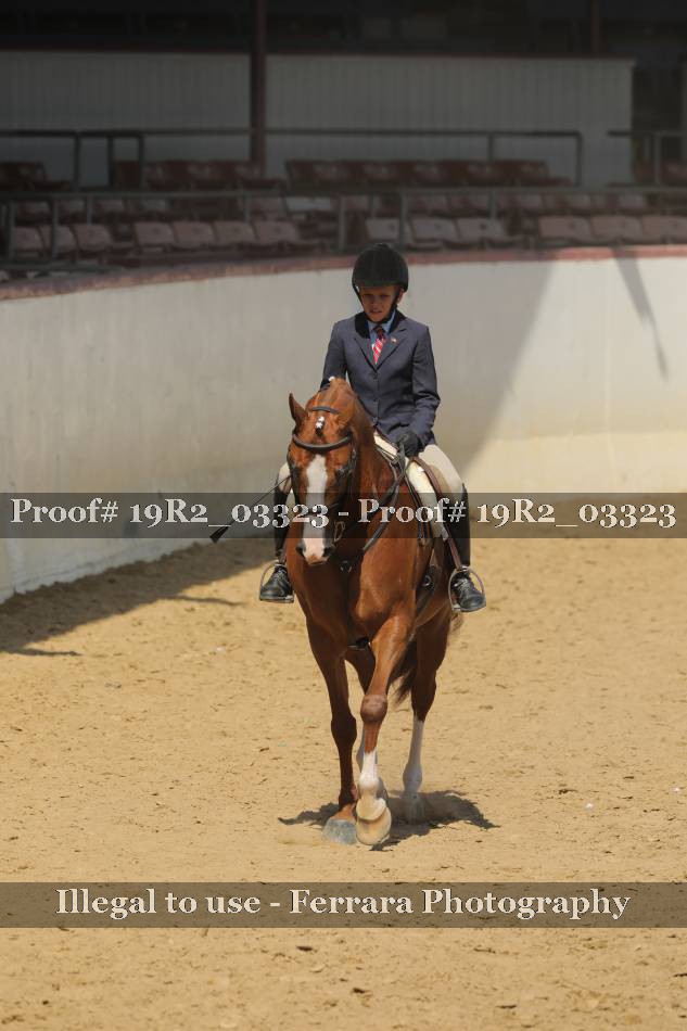Proof 19R2_03323