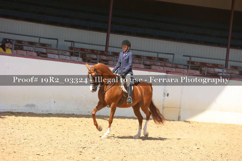 Proof 19R2_03324