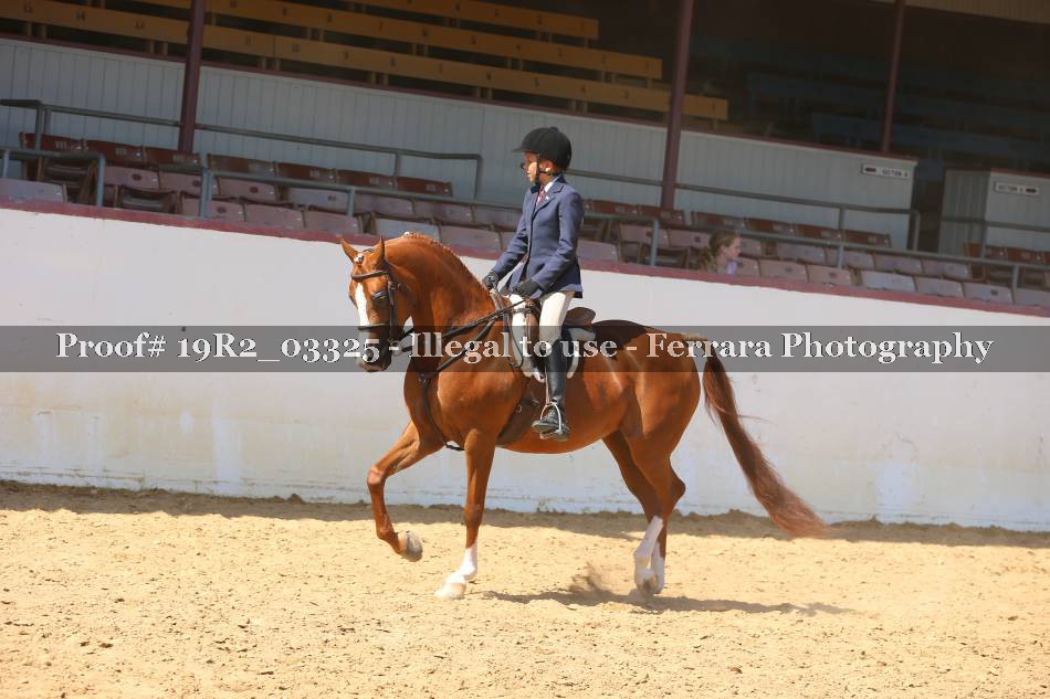 Proof 19R2_03325