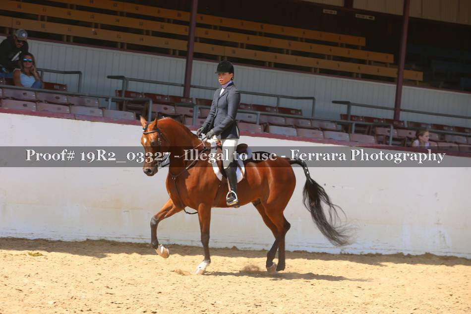 Proof 19R2_03327