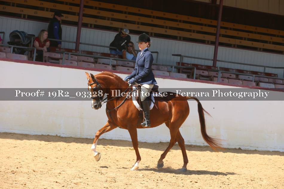 Proof 19R2_03328