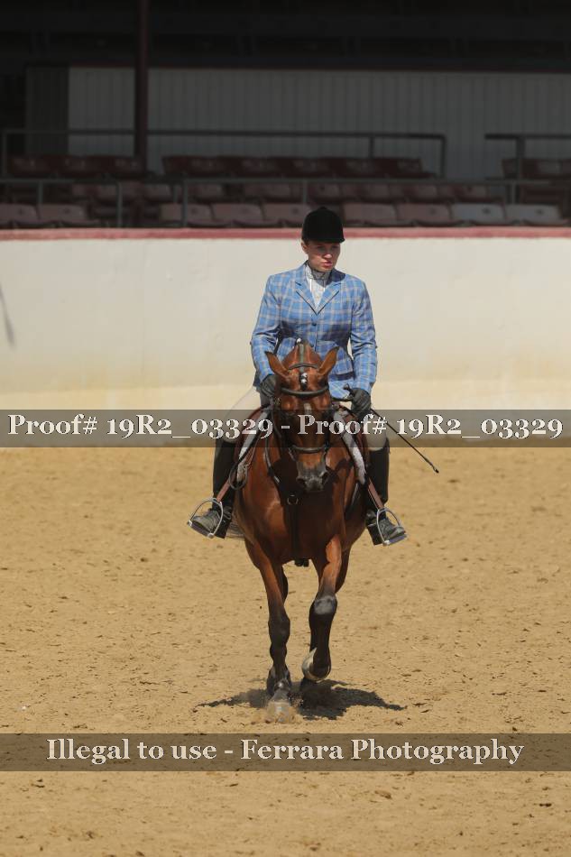 Proof 19R2_03329