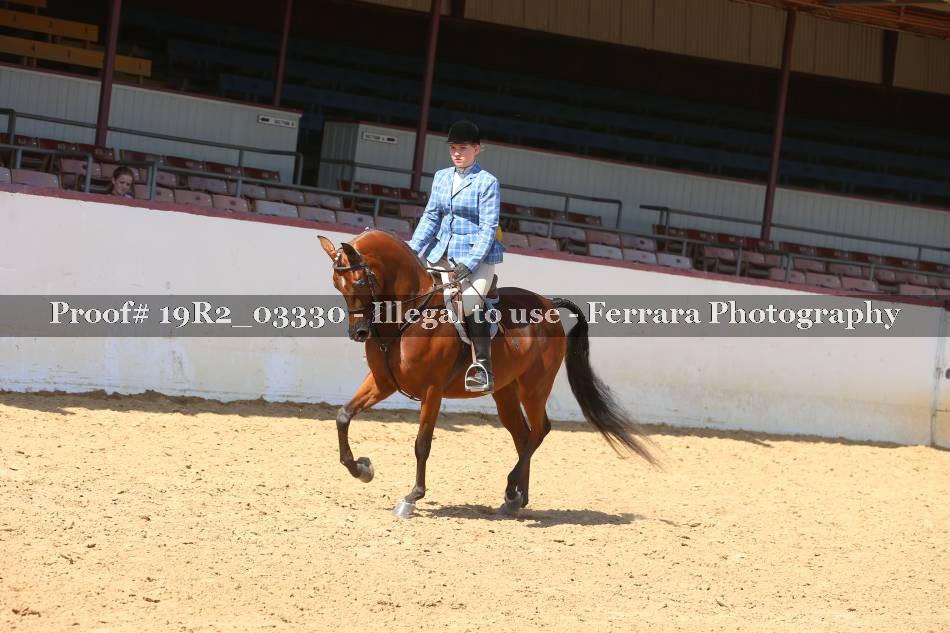 Proof 19R2_03330
