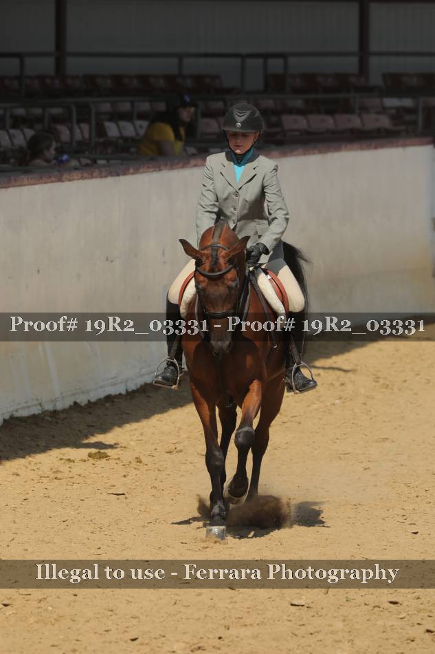 Proof 19R2_03331