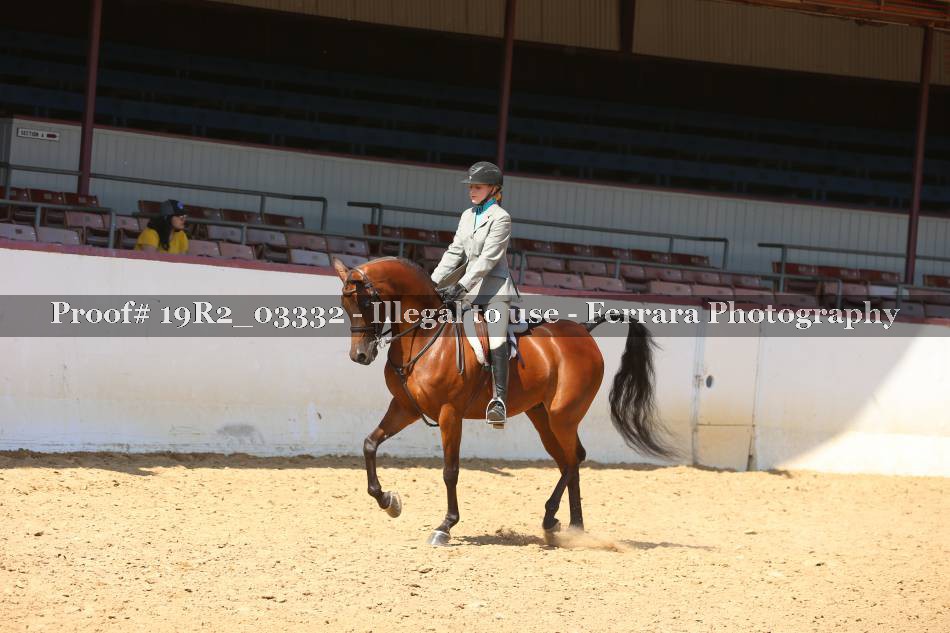 Proof 19R2_03332