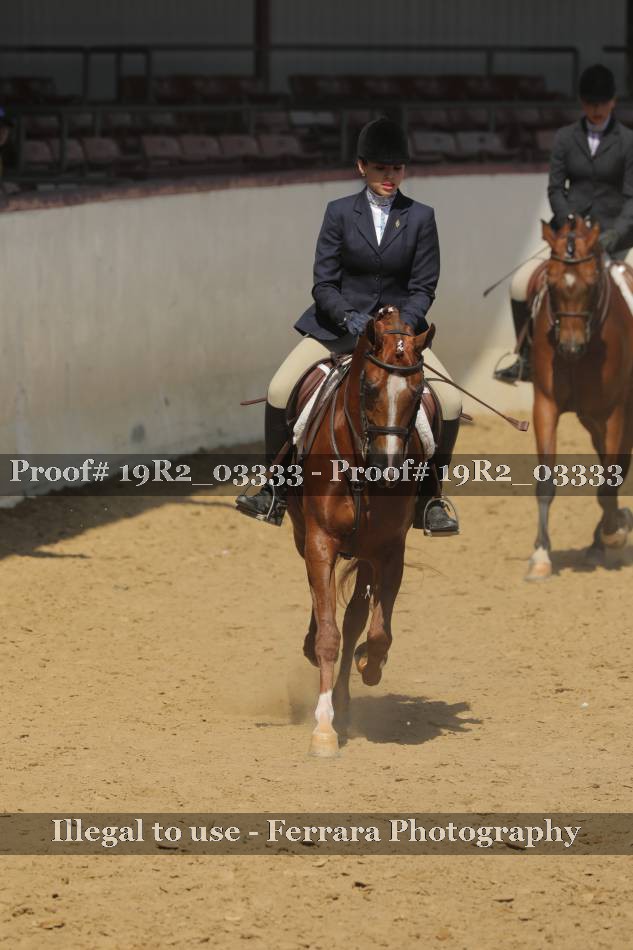 Proof 19R2_03333
