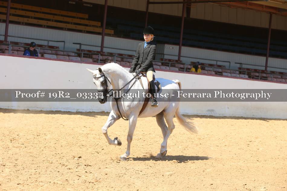 Proof 19R2_03334