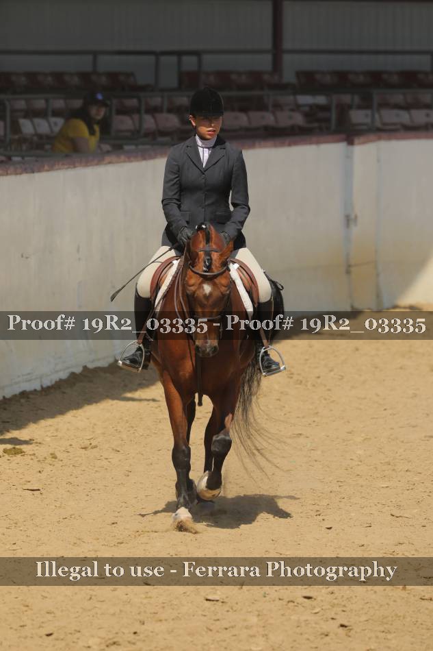 Proof 19R2_03335