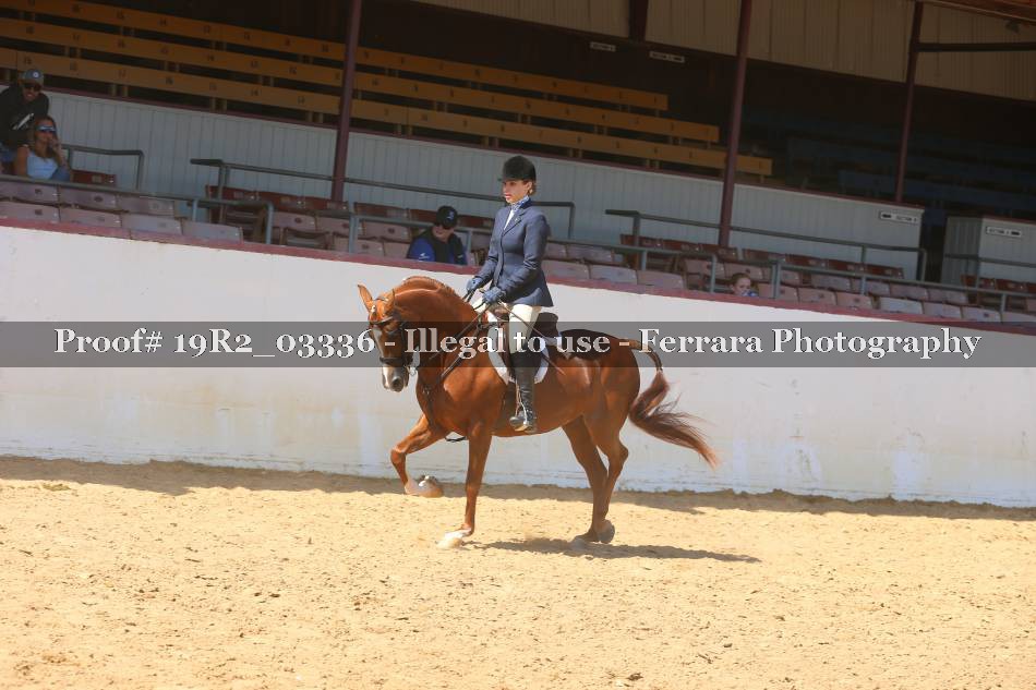 Proof 19R2_03336