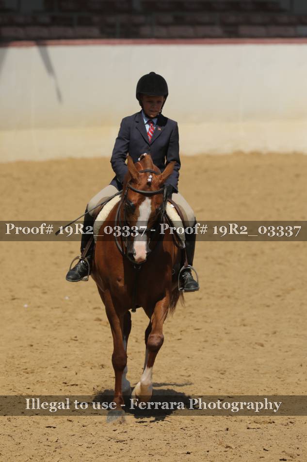 Proof 19R2_03337