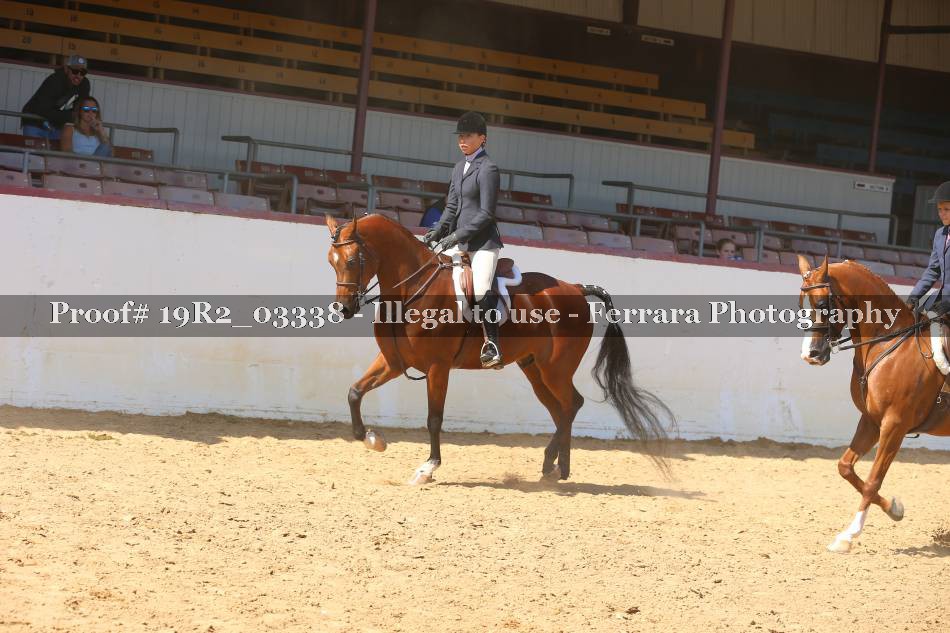Proof 19R2_03338