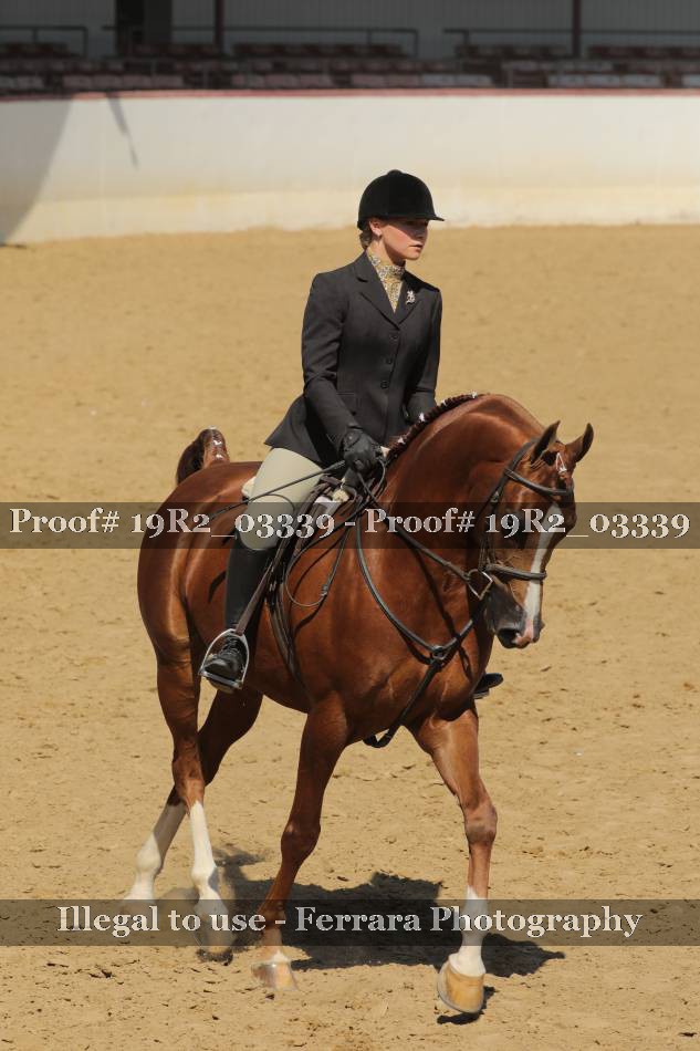 Proof 19R2_03339