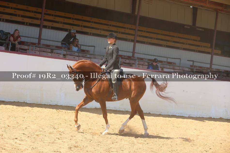 Proof 19R2_03340