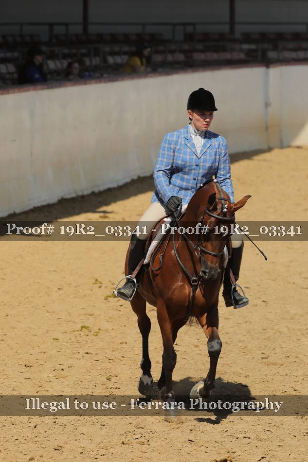 Proof 19R2_03341