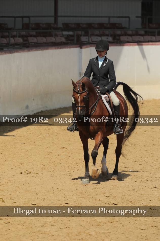 Proof 19R2_03342
