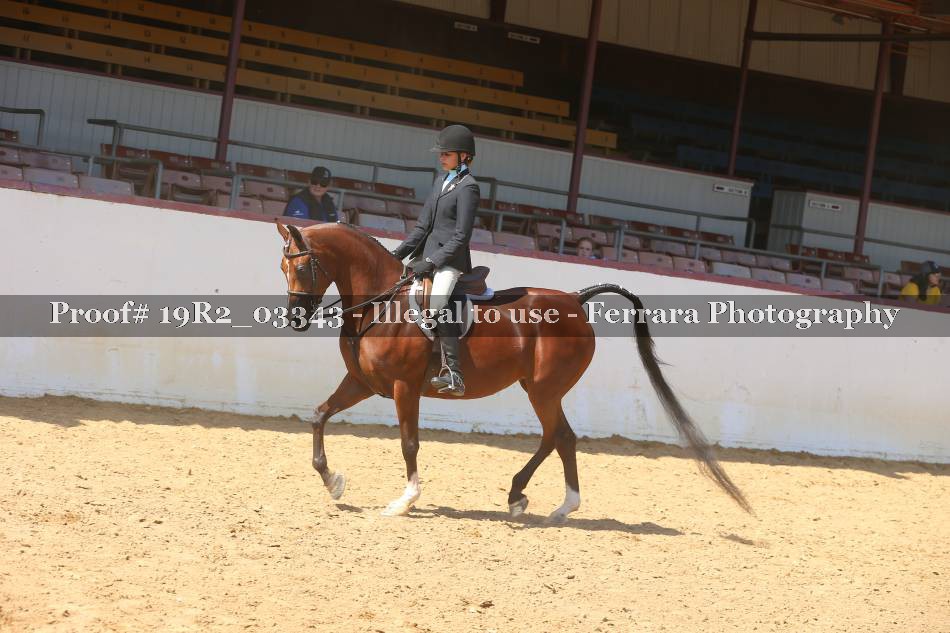Proof 19R2_03343