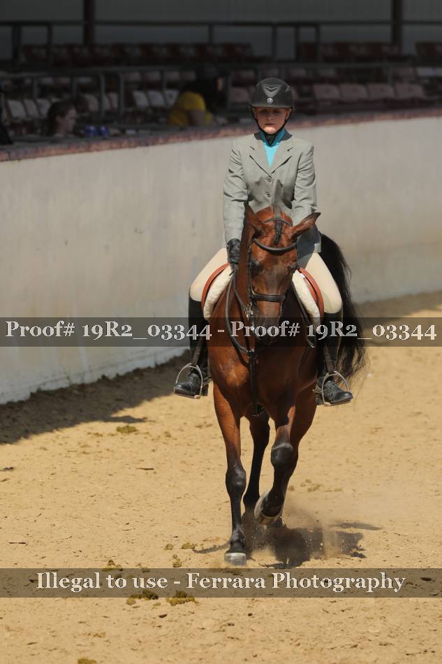 Proof 19R2_03344