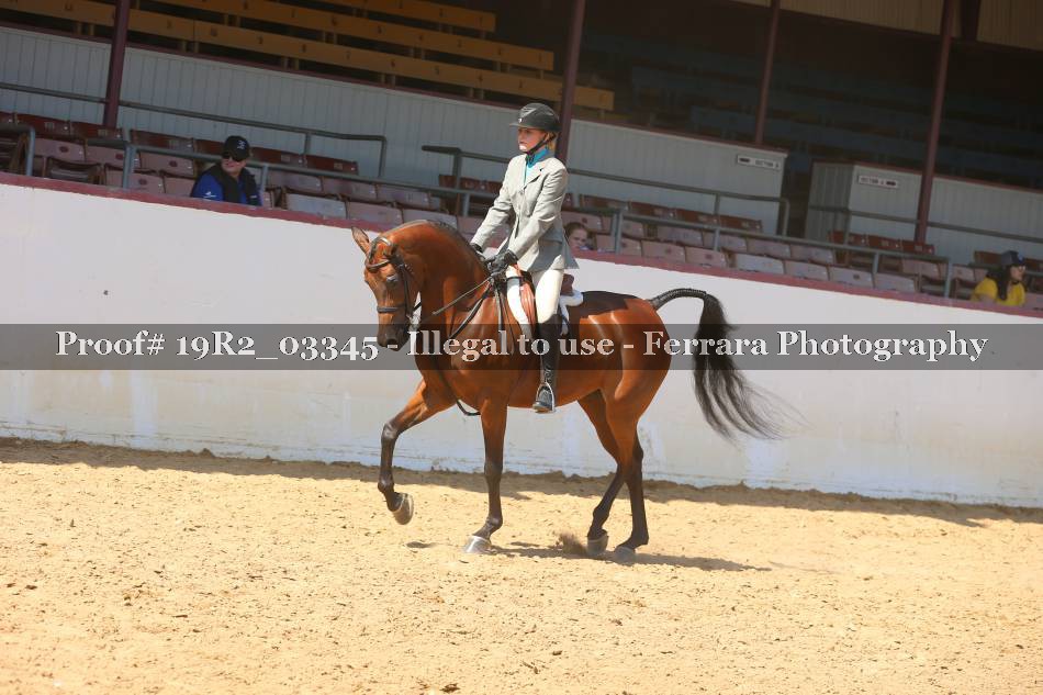 Proof 19R2_03345