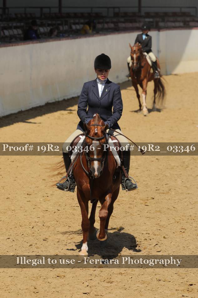 Proof 19R2_03346
