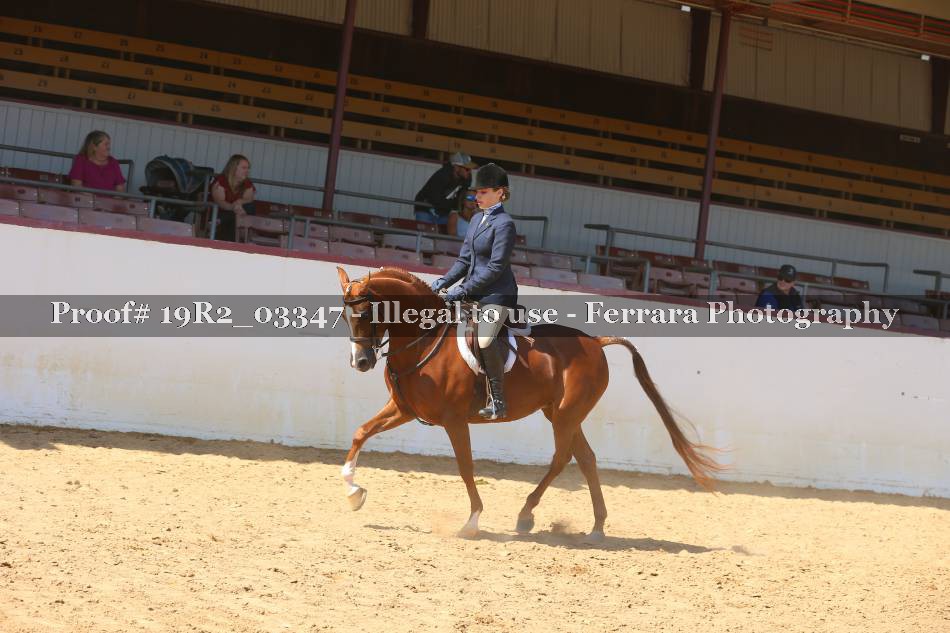 Proof 19R2_03347