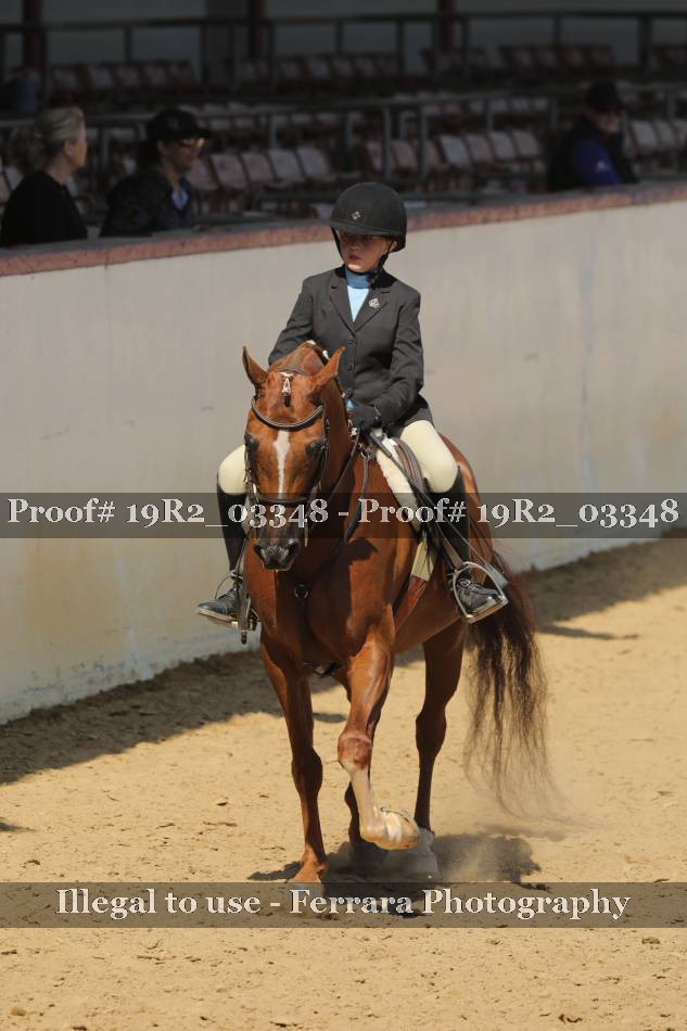 Proof 19R2_03348
